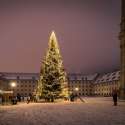 St.Gallen, Klosterplatz, starry city, snow, Advent, Christmas tree, Christmas lights, Christmas, night